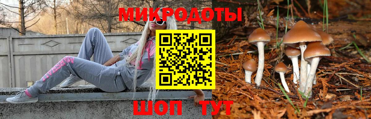 Галлюциногенные грибы Psilocybine cubensis Нефтекамск